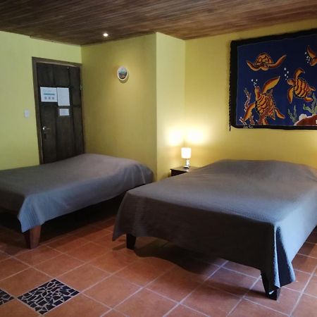 Bed and Breakfast Mundo Goub'Art Cabuya  Номер фото