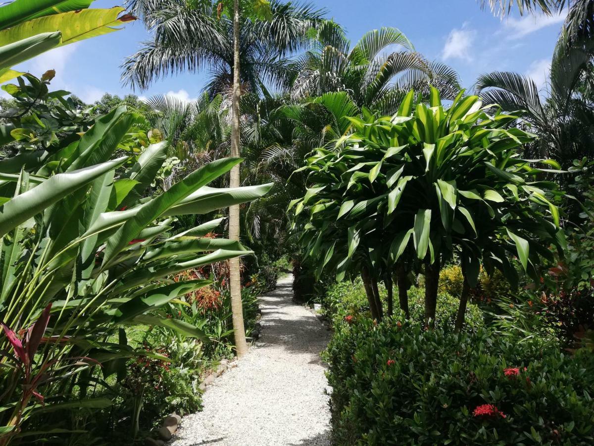 Bed and Breakfast Mundo Goub'Art Cabuya  Екстер'єр фото